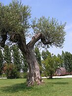 Tenuta La Rotta
