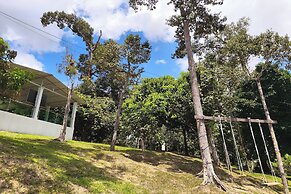 Alsafina Forest Stay