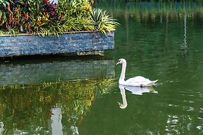 Lamori Resort & Spa