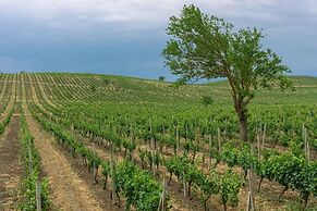 Winery Chabiant Hotel