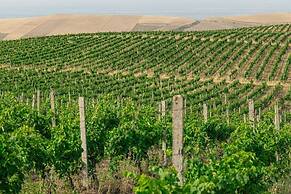 Winery Chabiant Hotel