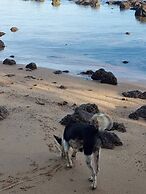 Palmeraiebeach Resort Rayong