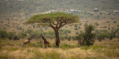 Soroi Leopards Lair Cottages