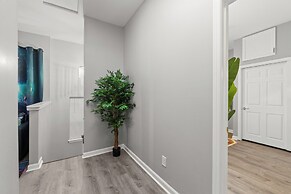 CentralWestEnd-WashU-STL- Euphoria