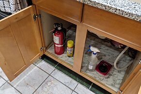 CentralWestEnd-WashU-STL- Euphoria