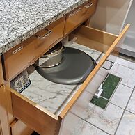 CentralWestEnd-WashU-STL- Euphoria