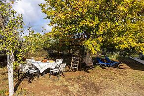 Petalidi Sunny Home Two