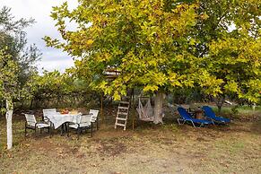 Petalidi Sunny Home Two