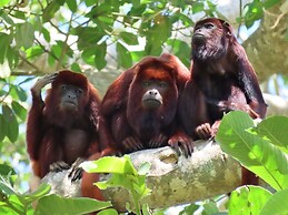 eco hotel amanecer tayrona