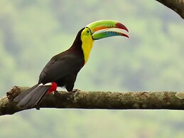 eco hotel amanecer tayrona