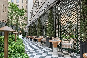 Sax Paris, LXR Hotels & Resorts