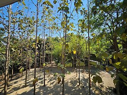 Punnattha House by Peema Villa