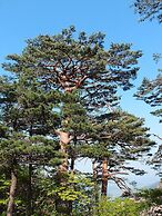 DIAMER Yangyang Hotel by AankStay