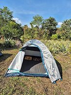 Warichora Homestay and Rooms Meghalaya