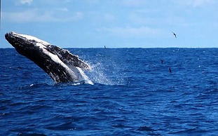 Gemini Villas , Gemini I