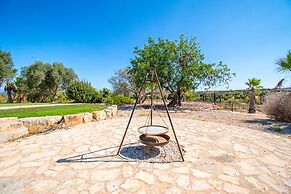Yoba Horse Farm in Carvoeiro