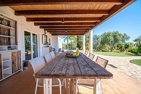 Yoba Horse Farm in Carvoeiro
