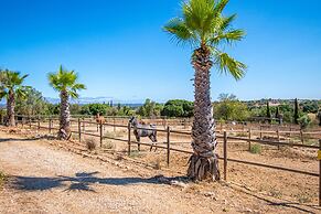 Yoba Horse Farm in Carvoeiro
