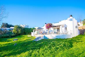 C65 Quinta do Paraiso