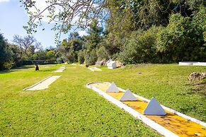 C65 Quinta do Paraiso