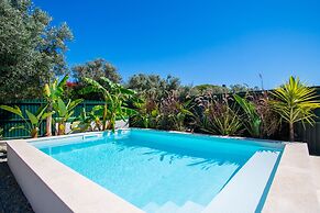 Casa Colmeia in Carvoeiro