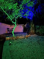 Casa Cora o in Carvoeiro