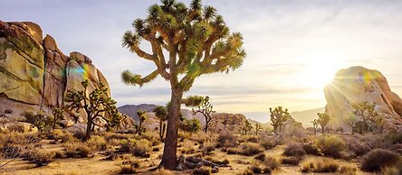 Desert 6BR Pool BBQ Games Parking - S1