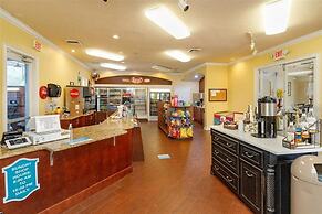 Adventureland Oasis - Resort Near Disney