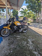 B'lu Bamboo - GH.A.RB