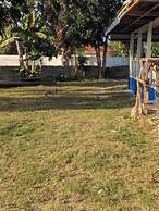 B'lu Bamboo - GH.A.RB