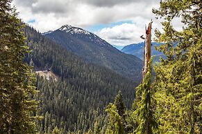 Cottonwood Chalet in Packwood