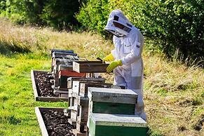 Luxury Glamping - Charlcombe Valley Orchards Bath
