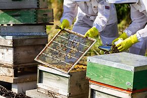 Luxury Glamping - Charlcombe Valley Orchards Bath