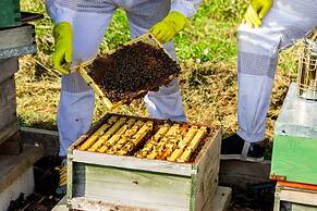 Luxury Glamping - Charlcombe Valley Orchards Bath