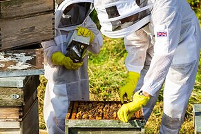 Luxury Glamping - Charlcombe Valley Orchards Bath