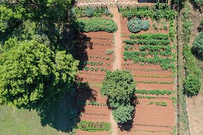 Maslinica Maison Collection