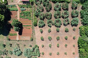 Maslinica Maison Collection