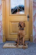 Ferienwohnungen Chiemgau