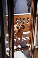 Ferienwohnungen Chiemgau