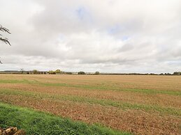 The Gallops