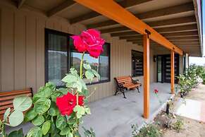 @ Marbella Lane - The Wine Mine Desert Escape