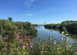 Apartment With Dunes View of Petten