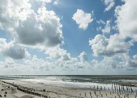 Apartment With Dunes View of Petten