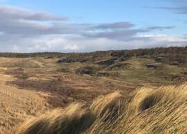 Apartment With Dunes View of Petten