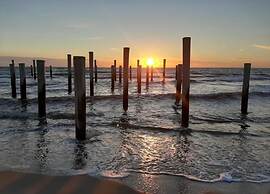 Apartment With Dunes View of Petten