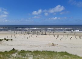 Apartment With Dunes View of Petten