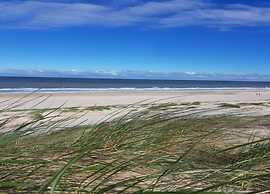 Apartment With Dunes View of Petten
