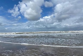 Apartment With Dunes View of Petten