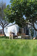 lilium rooms