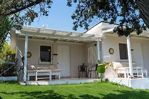 lilium rooms